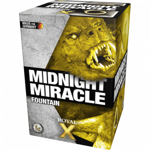 Midnight Miracle