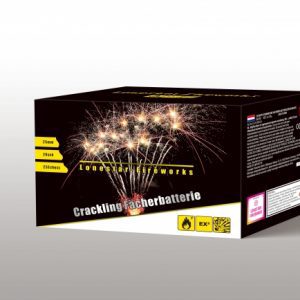 F&auml;cherbatterie 5x5 Schuss