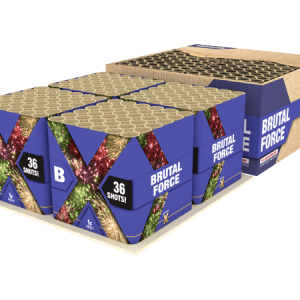 Brutal Force