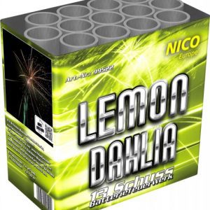 Lemon Dahlia, 13 Schuss